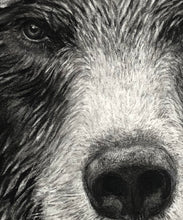 Load image into Gallery viewer, “Grizzly” Wrapped Canvas Limited Edition Prints