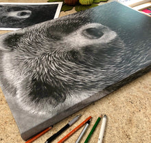 Load image into Gallery viewer, “Grizzly” Wrapped Canvas Limited Edition Prints