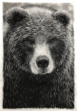 Load image into Gallery viewer, “Grizzly” Wrapped Canvas Limited Edition Prints