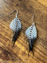 Load image into Gallery viewer, Black and Grey Stripe Feather Earrings
