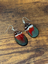 Load image into Gallery viewer, Green, Red, Brown, and White Feather Earrings
