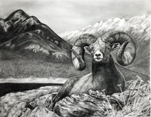 Load image into Gallery viewer, &quot;Bighorn&quot; Limited Edition Print
