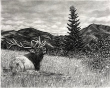 Load image into Gallery viewer, &quot;Hillside Call&quot; Limited Edition Print
