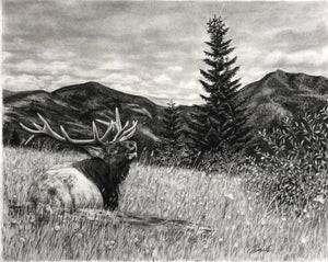 "Hillside Call" Limited Edition Print