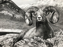 Load image into Gallery viewer, &quot;Bighorn&quot; Limited Edition Print
