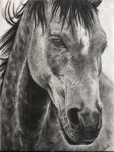 Load image into Gallery viewer, &quot;Wild Mustang&quot; Limited Edition Print
