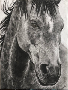 "Wild Mustang" Limited Edition Print