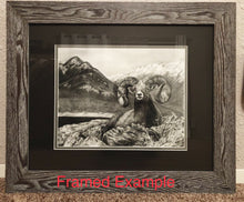 Load image into Gallery viewer, &quot;Bighorn&quot; Limited Edition Print
