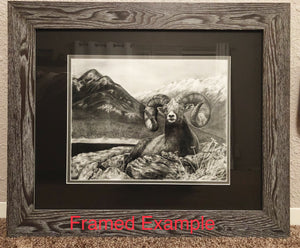 "Bighorn" Limited Edition Print