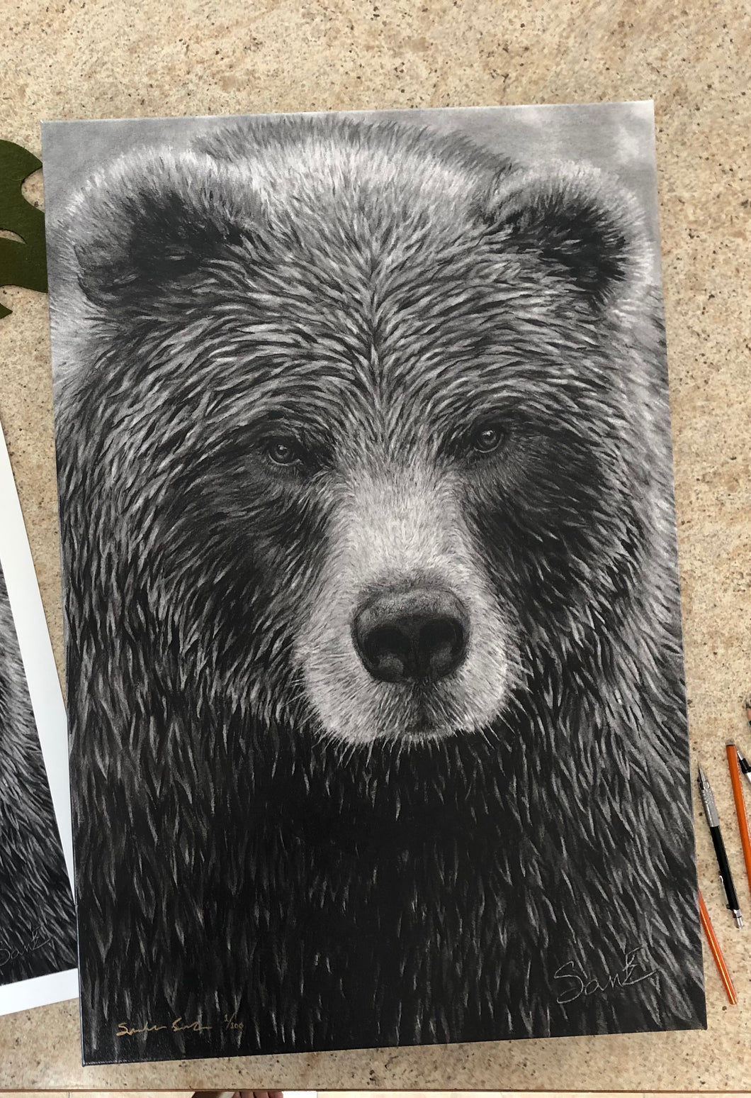 “Grizzly” Wrapped Canvas Limited Edition Prints
