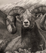 Load image into Gallery viewer, &quot;Bighorn&quot; Limited Edition Print
