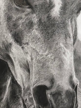 Load image into Gallery viewer, &quot;Wild Mustang&quot; Limited Edition Print
