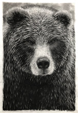 Load image into Gallery viewer, “Grizzly” Wrapped Canvas Limited Edition Prints
