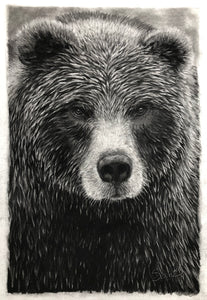 “Grizzly” Wrapped Canvas Limited Edition Prints
